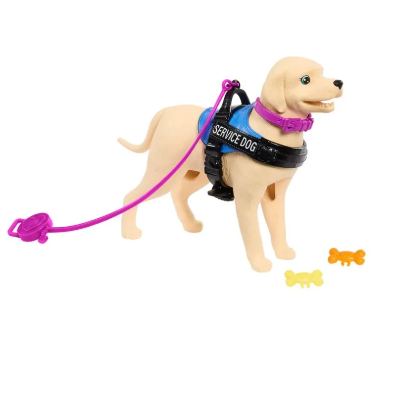 Barbie Inclusión Fashion Doll & Beauty con Silla de Ruedas y Perro Labrador de Servicio<Mattel Clearance