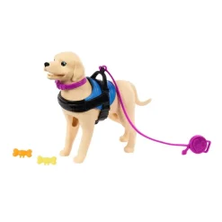 Barbie Inclusión Fashion Doll & Beauty con Silla de Ruedas y Perro Labrador de Servicio<Mattel Clearance