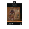 Star Wars The Black Series, Momaw Nadon G0073<Hasbro Online