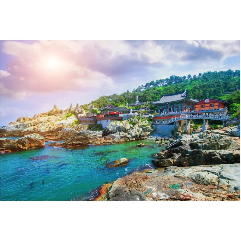 Rompecabezas Corea del Sur de 1000 Piezas<Wuundentoy Sale